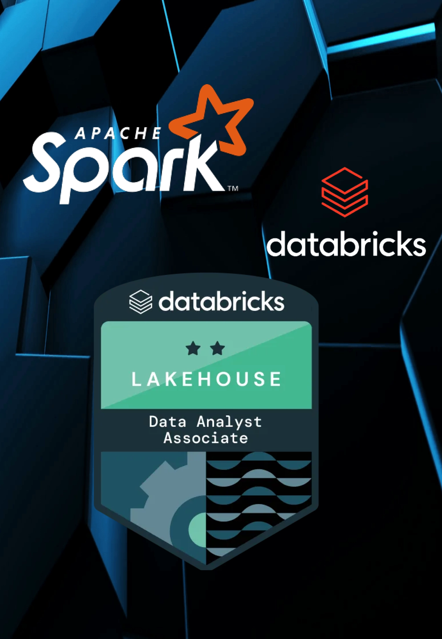 DataBricks-Developer.webp